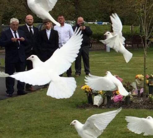 White doves released at a memorial